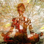Meditating with Nature - Improve Your Mindfulness and Connection to the Environment